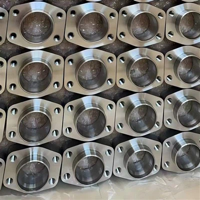 Ruostumaton teräs 304 SAE laippa